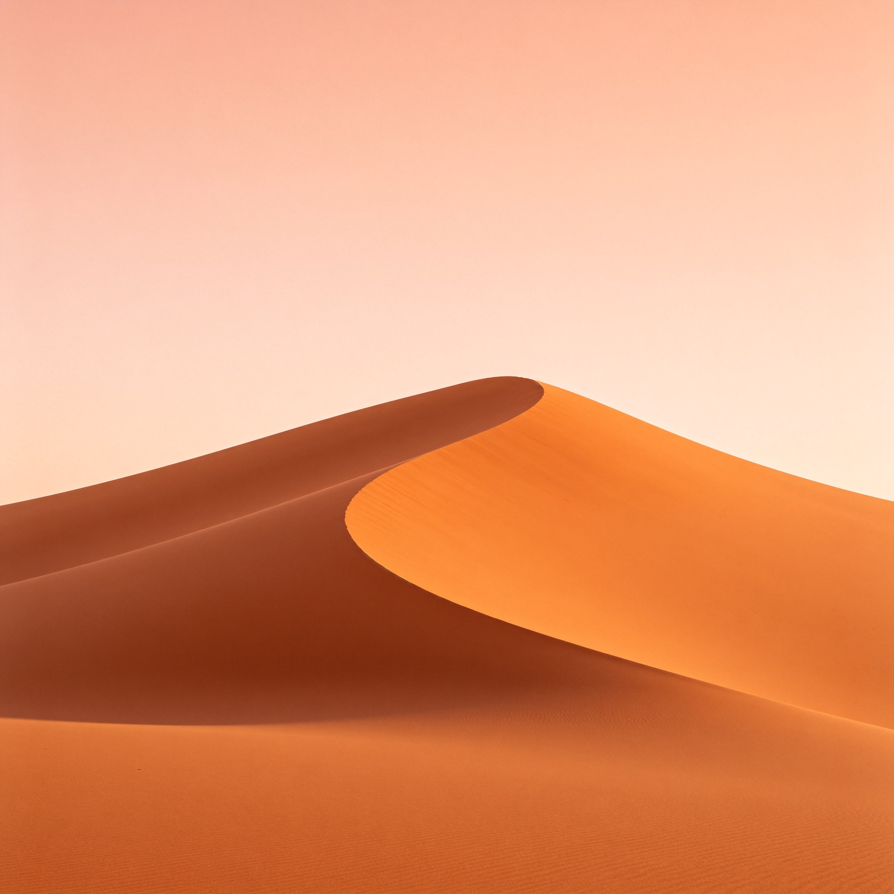 Solitary Dune Desert