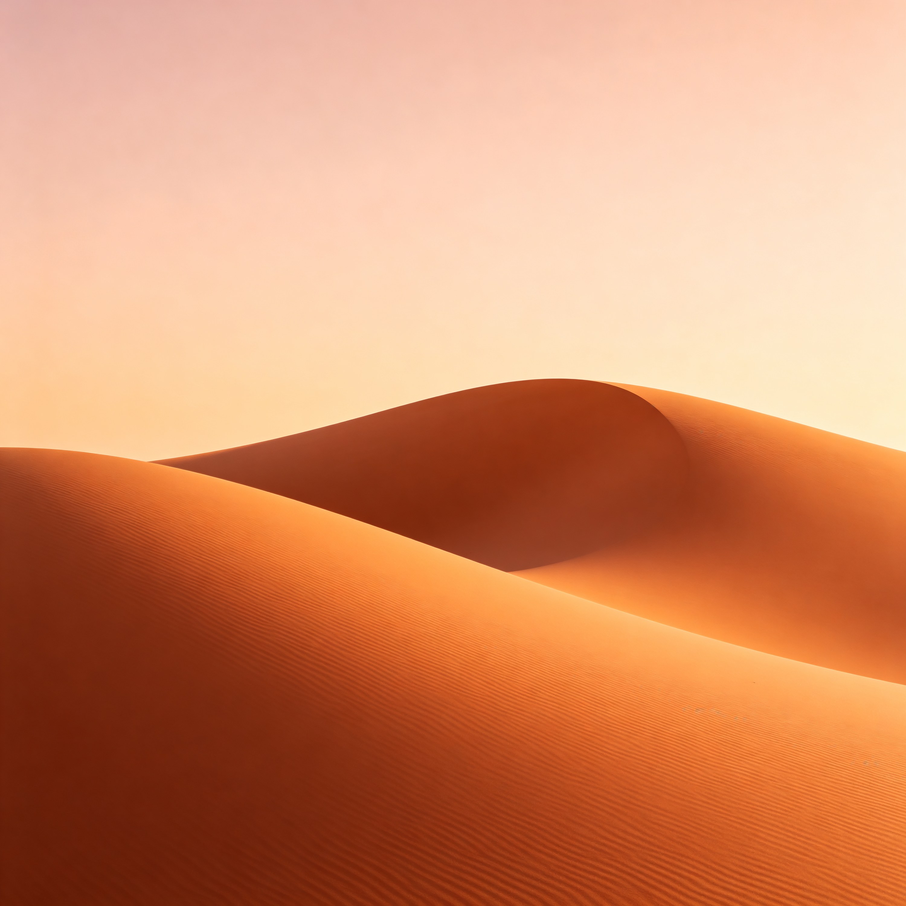 Dune Curves