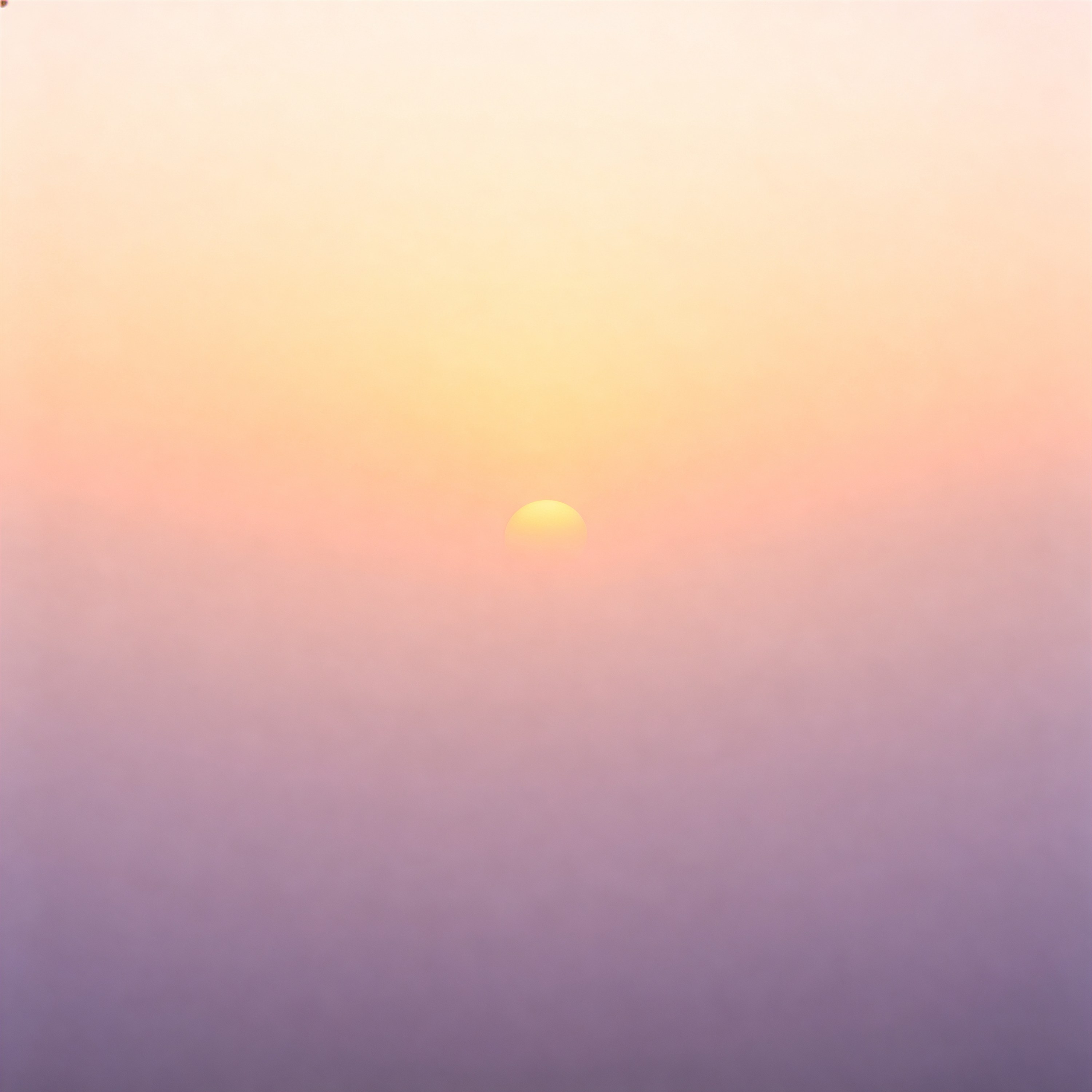 Sunset in Fog