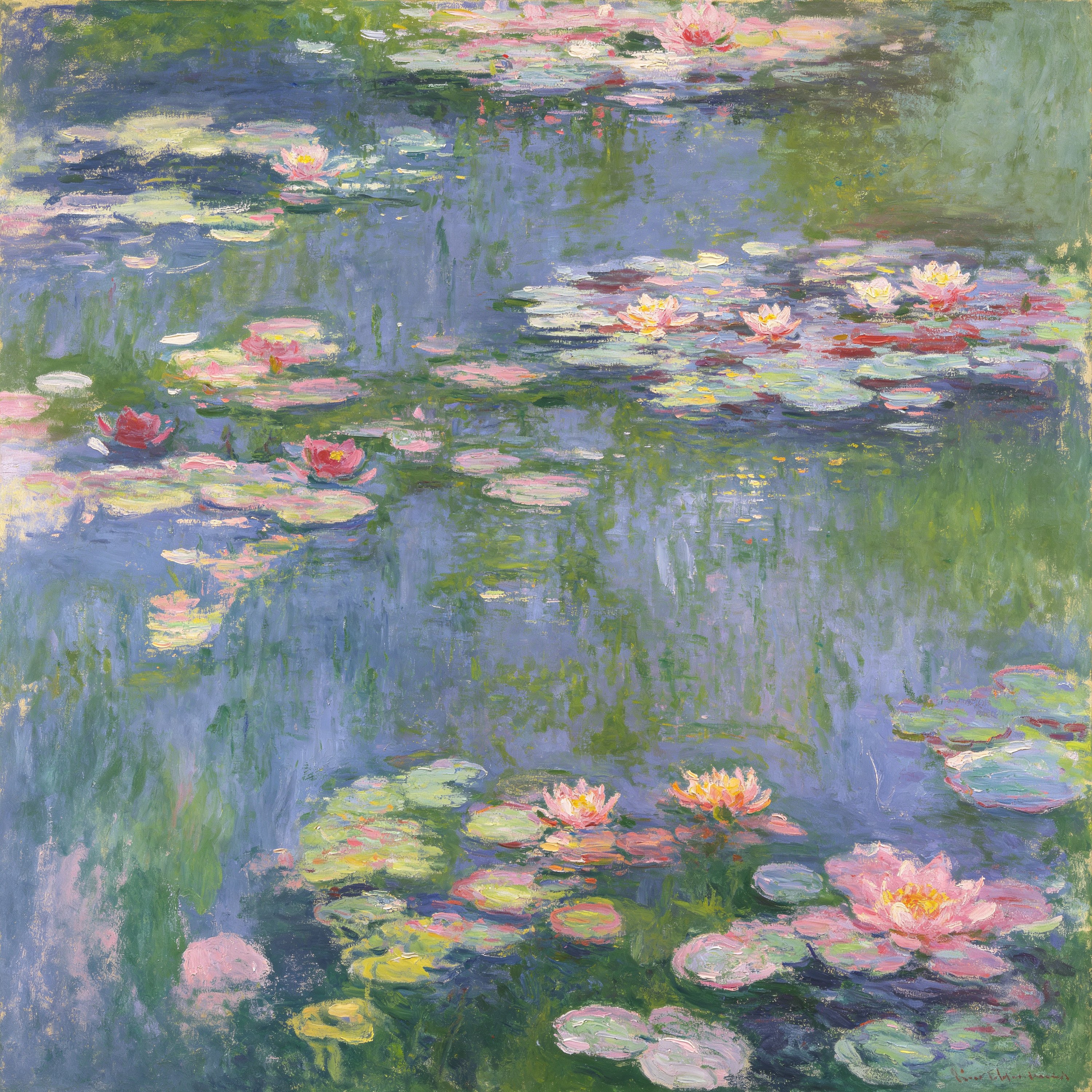 Monet Water Lilies
