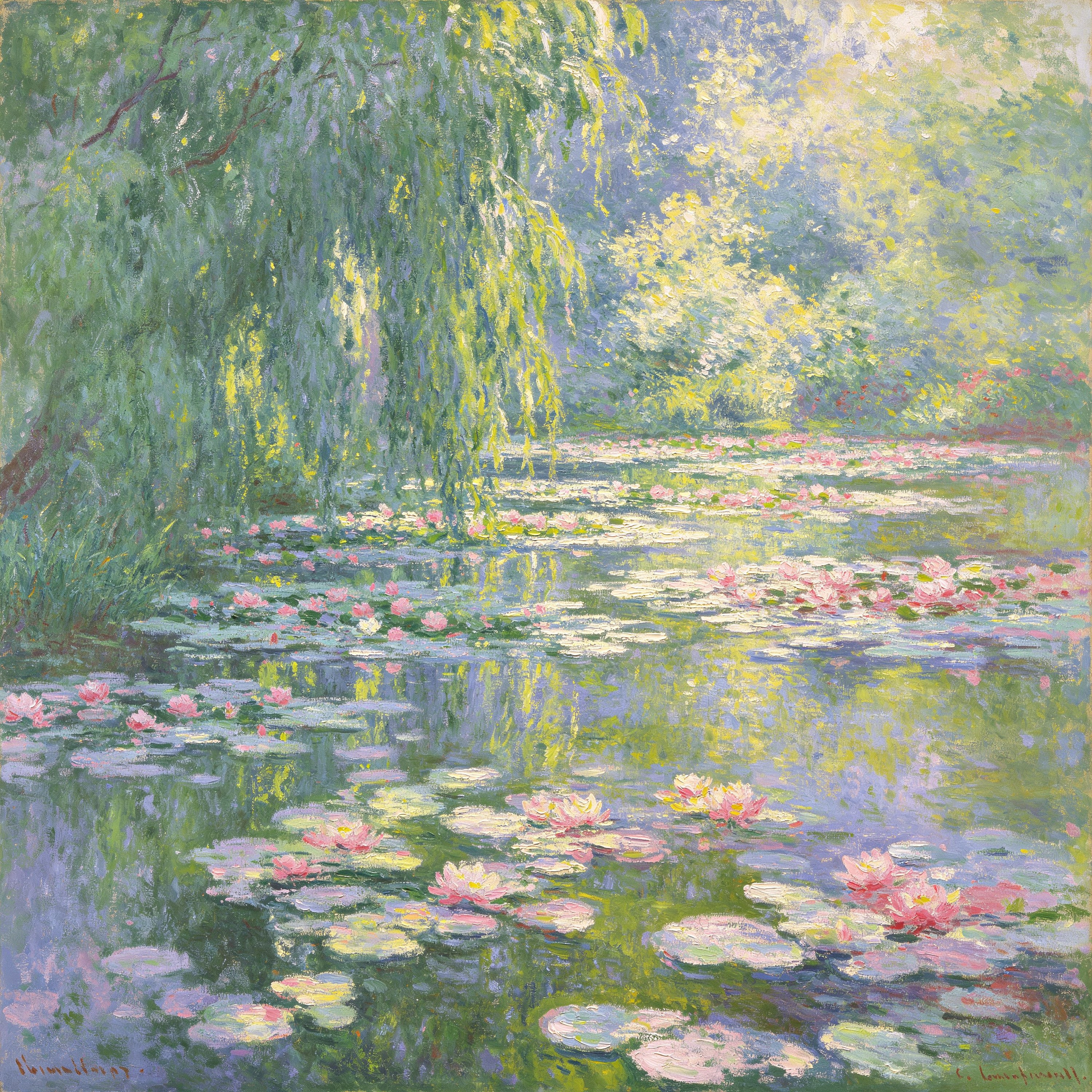 Oil Water Lily Pond
