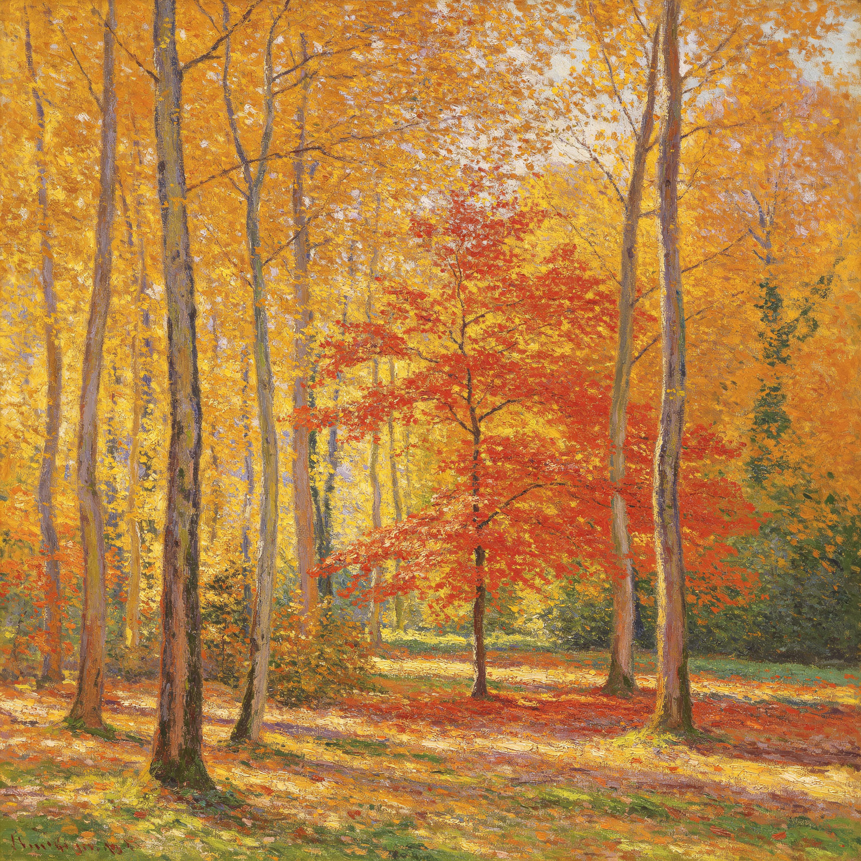 Oil Autumn Woods