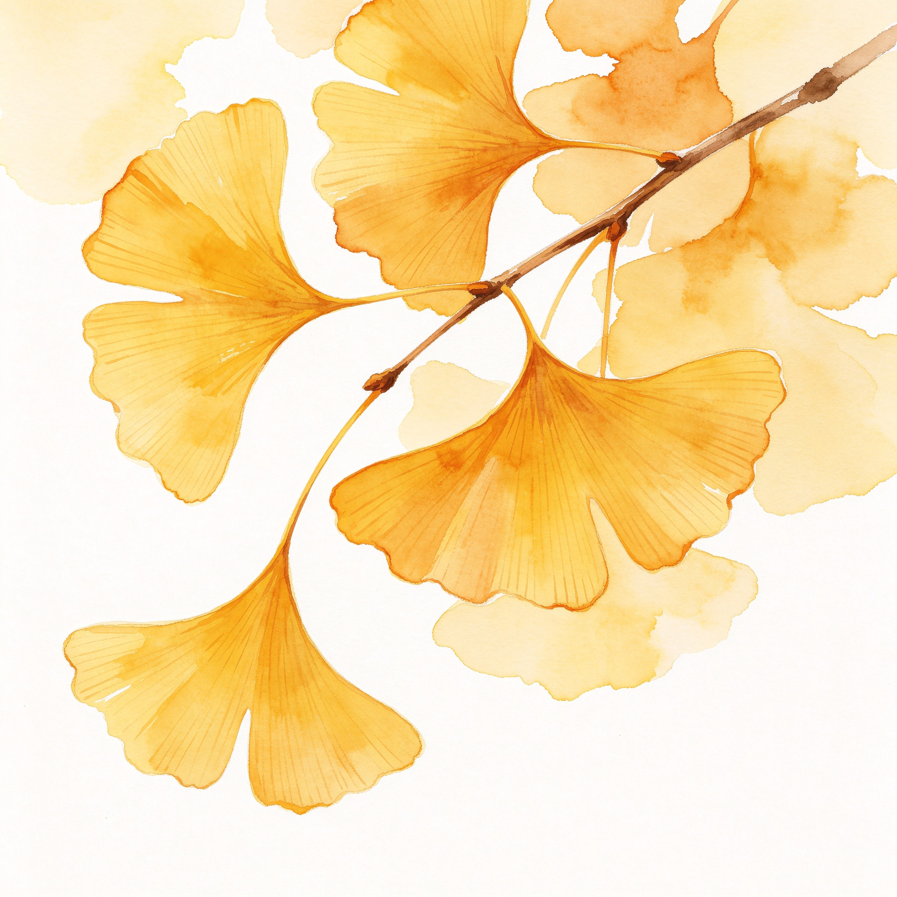 Watercolor Ginkgo Leaf