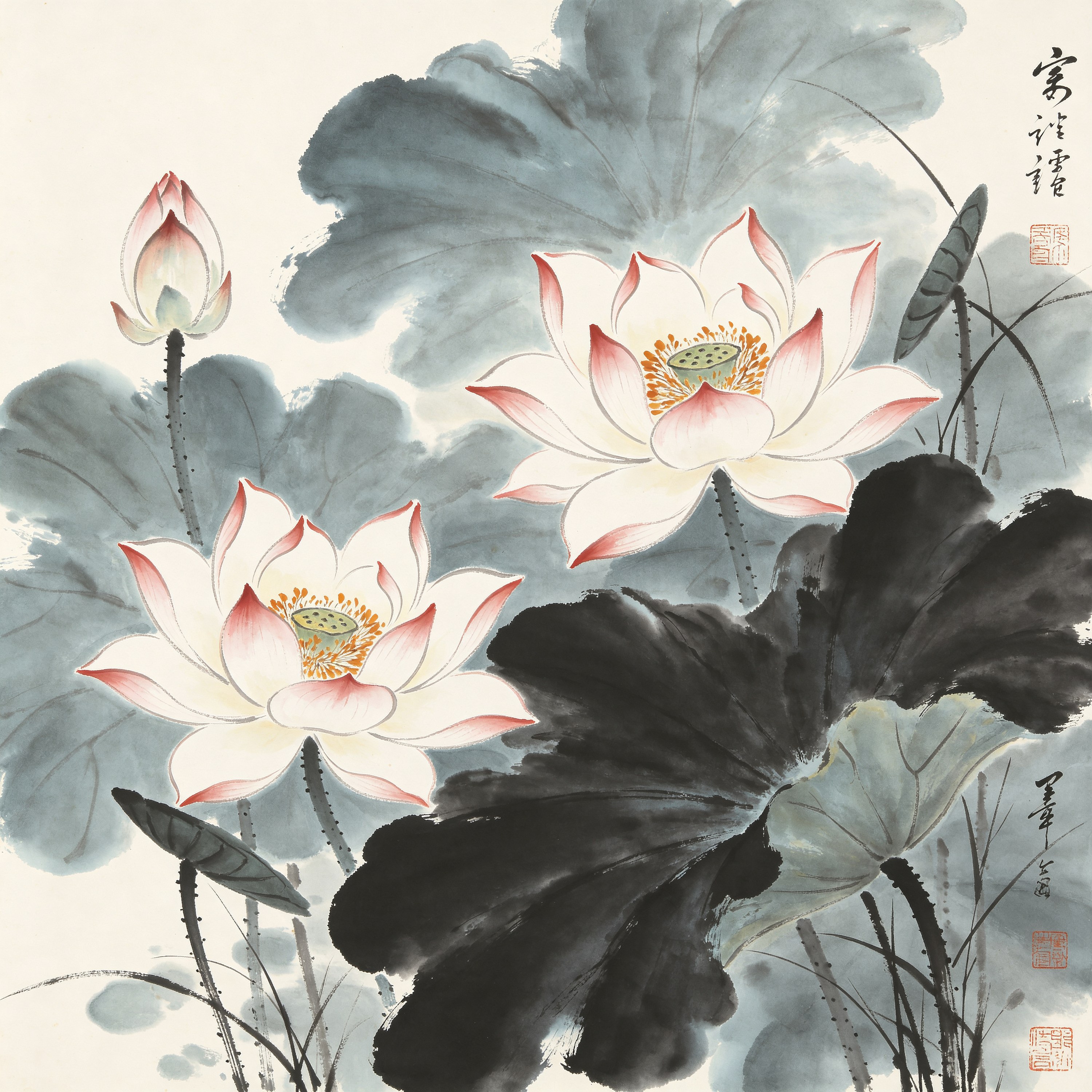 Chinese Lotus