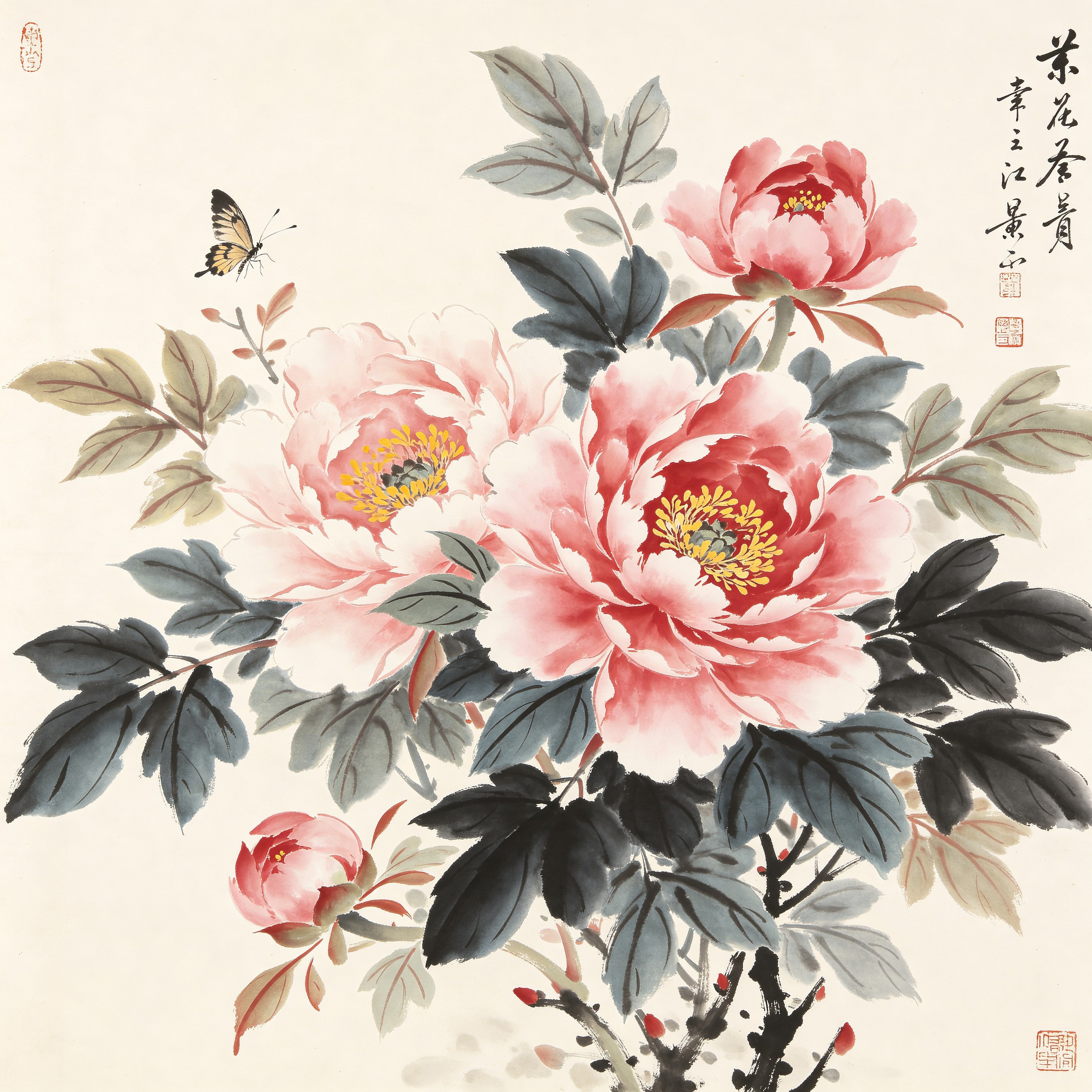 Chinese Peony