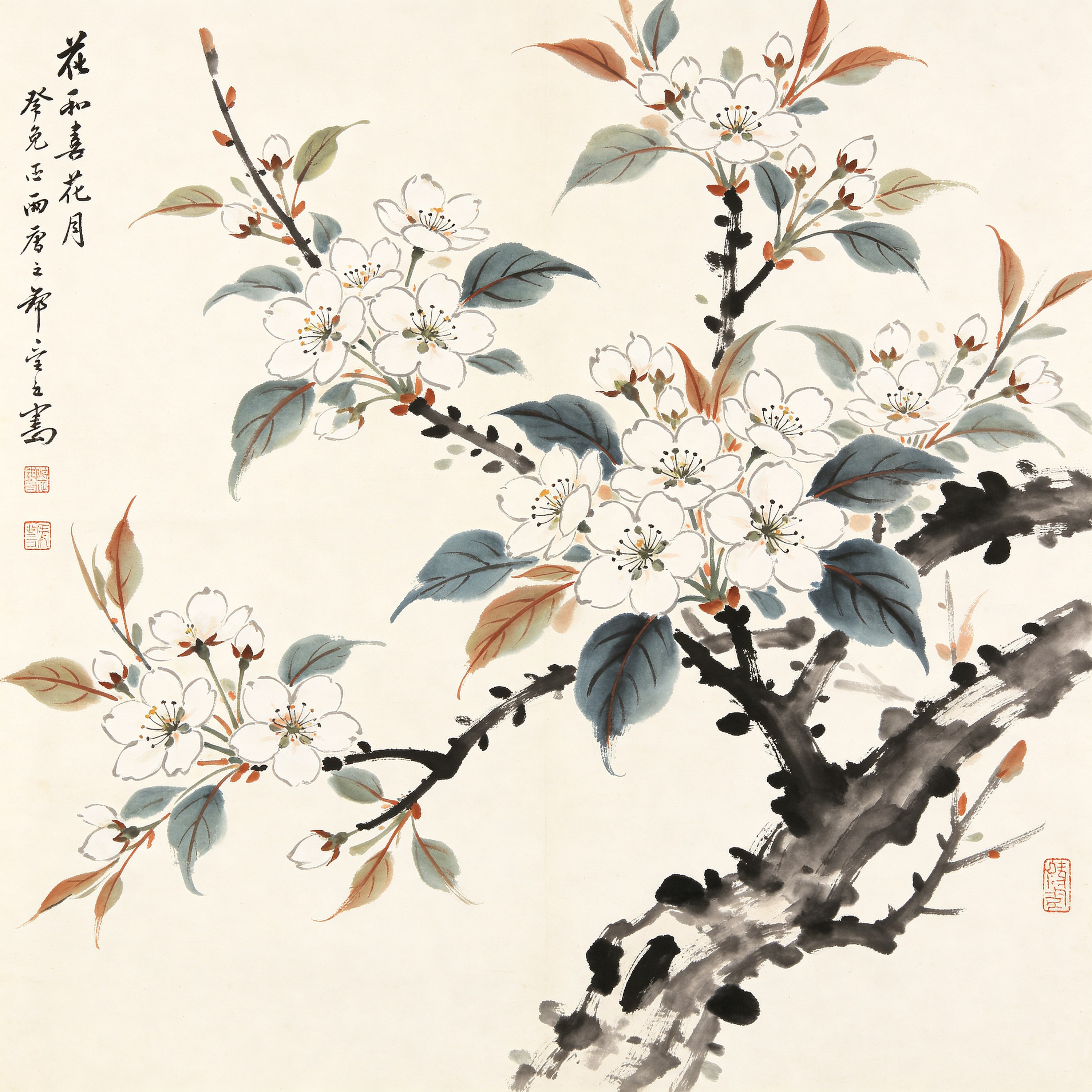 Chinese Pear Blossom