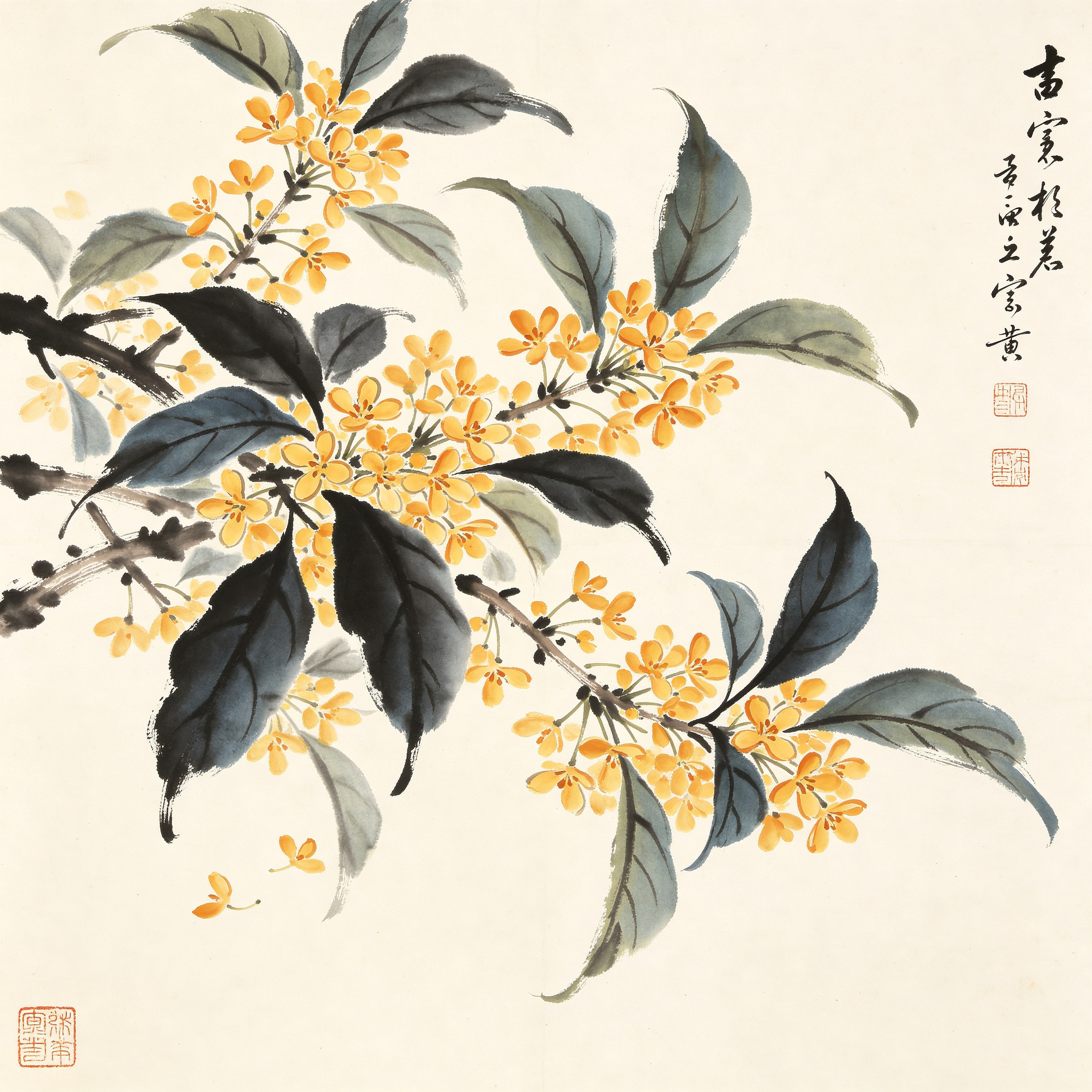 Chinese Osmanthus