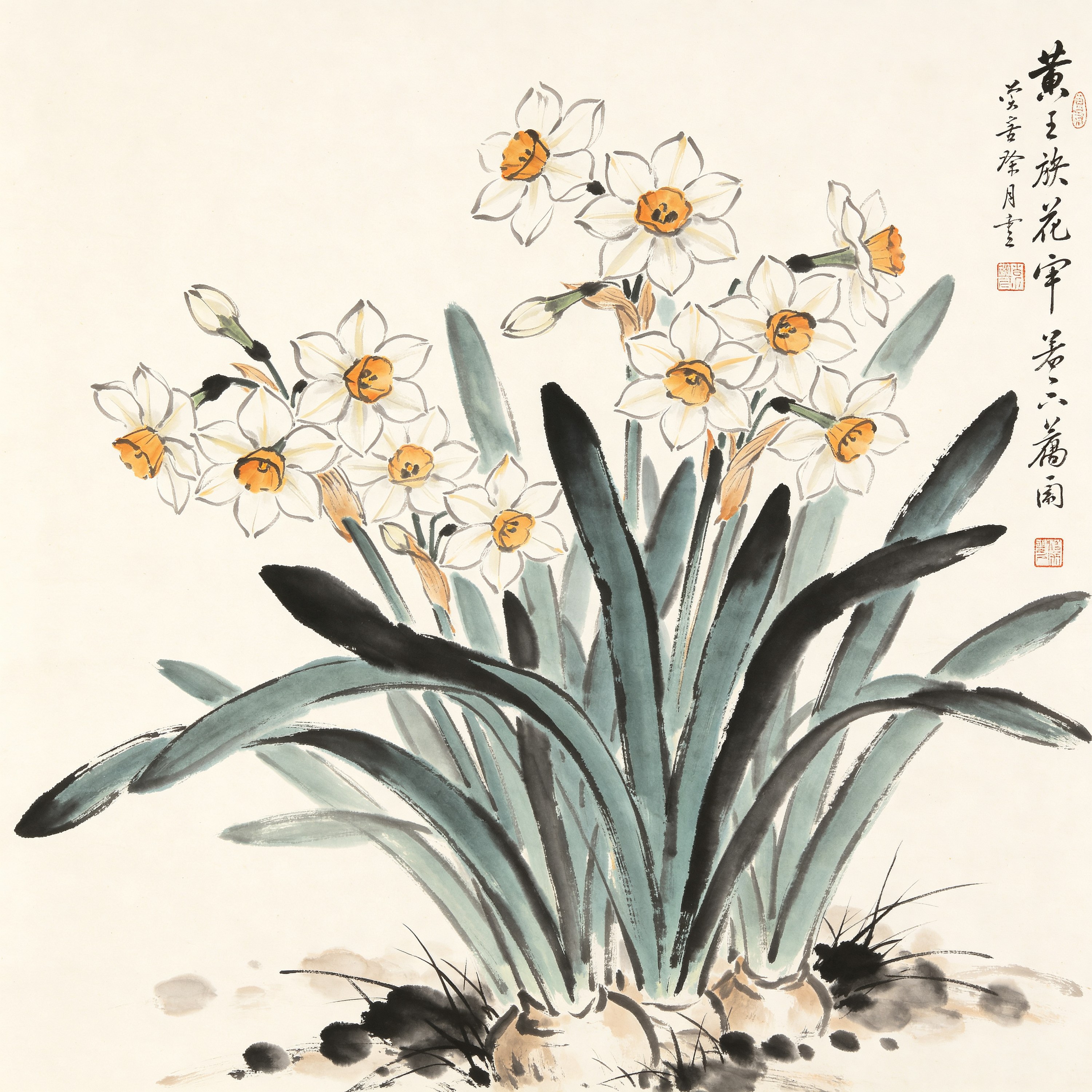 Chinese Daffodil