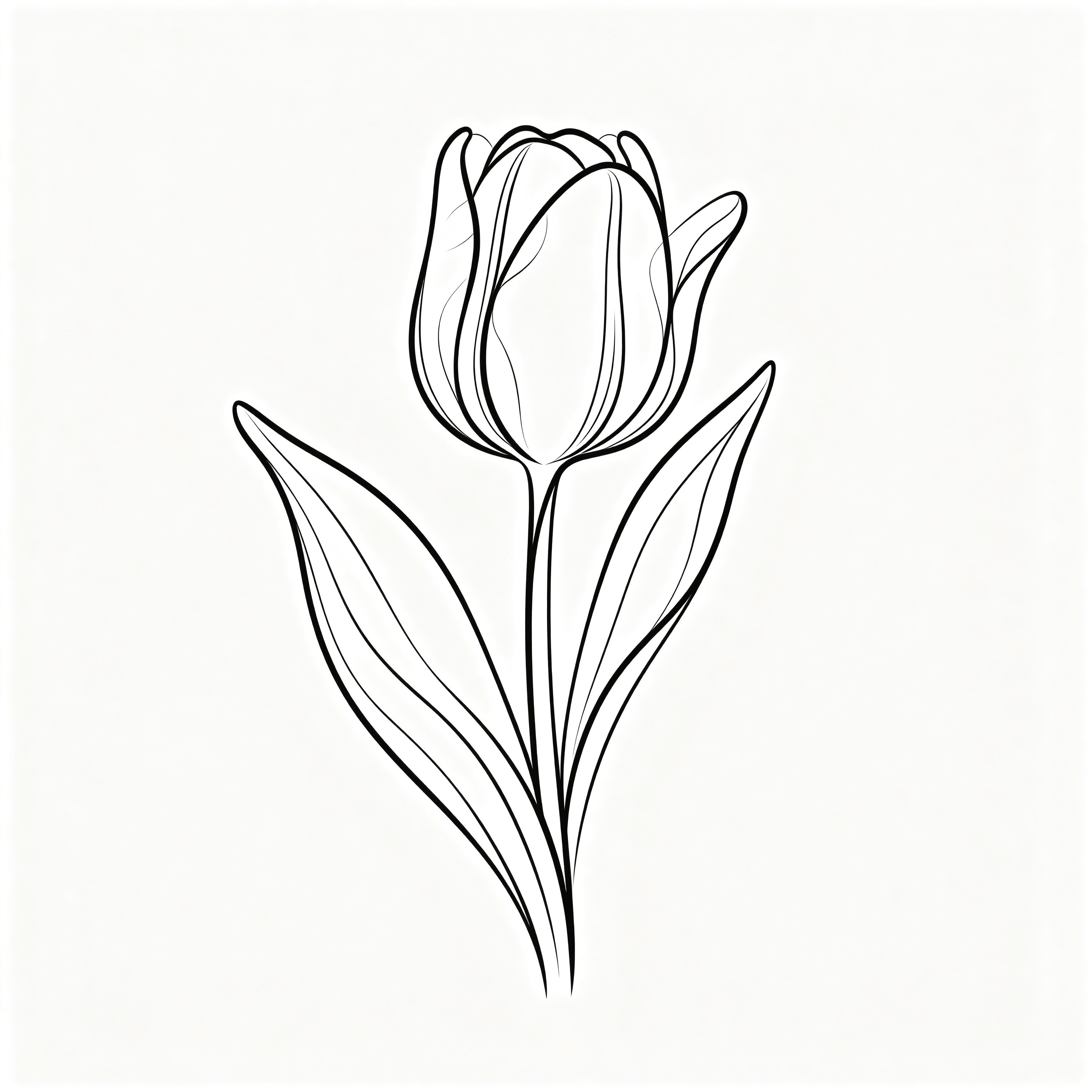 Single-line Tulip