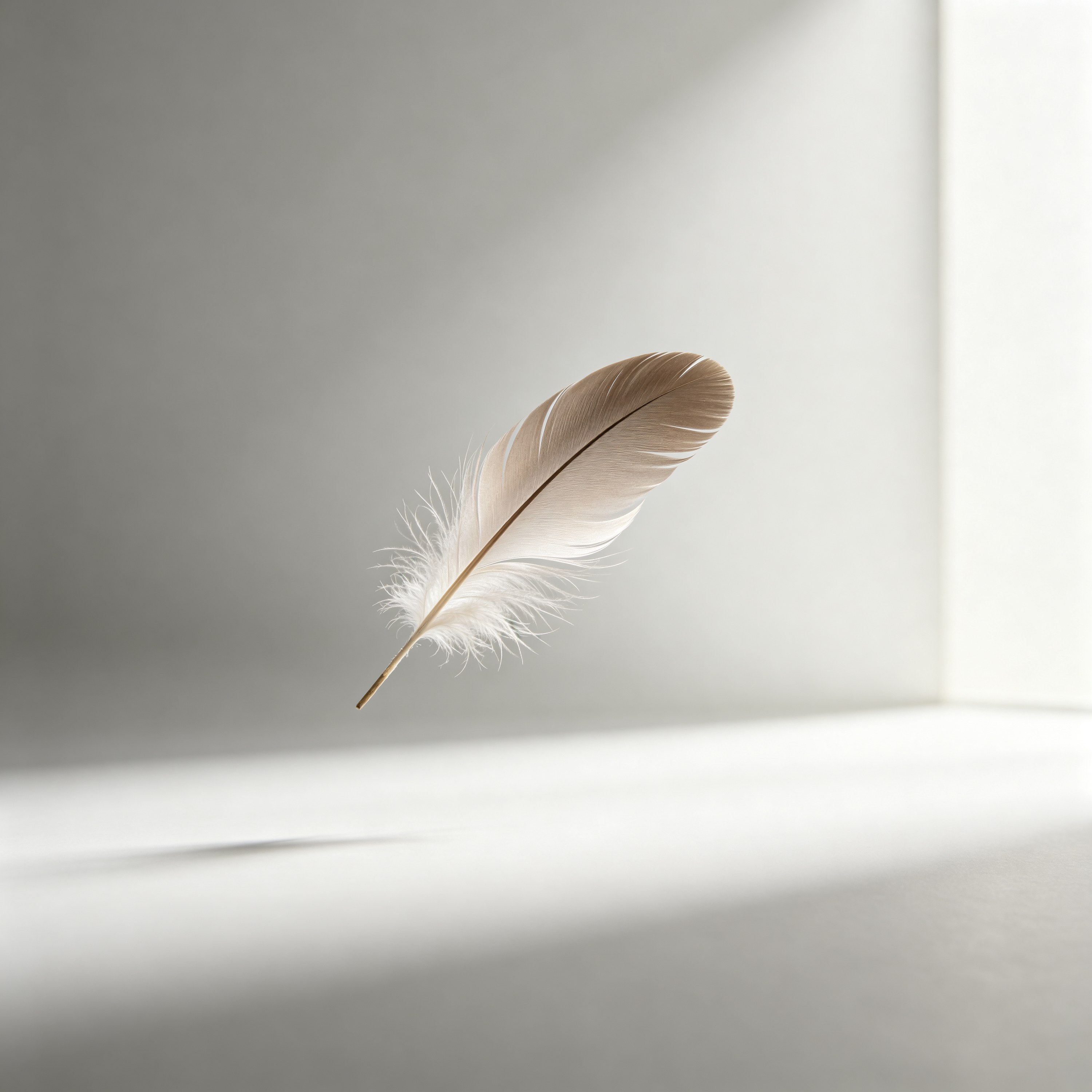 a single feather flo