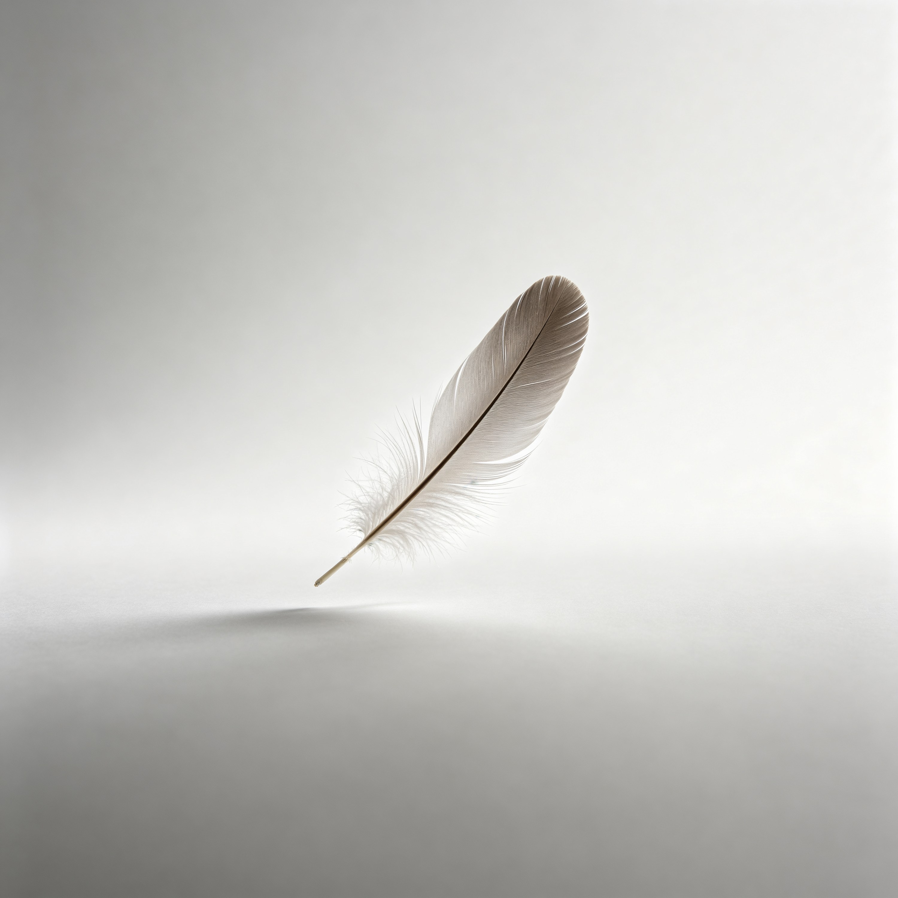 a single feather flo