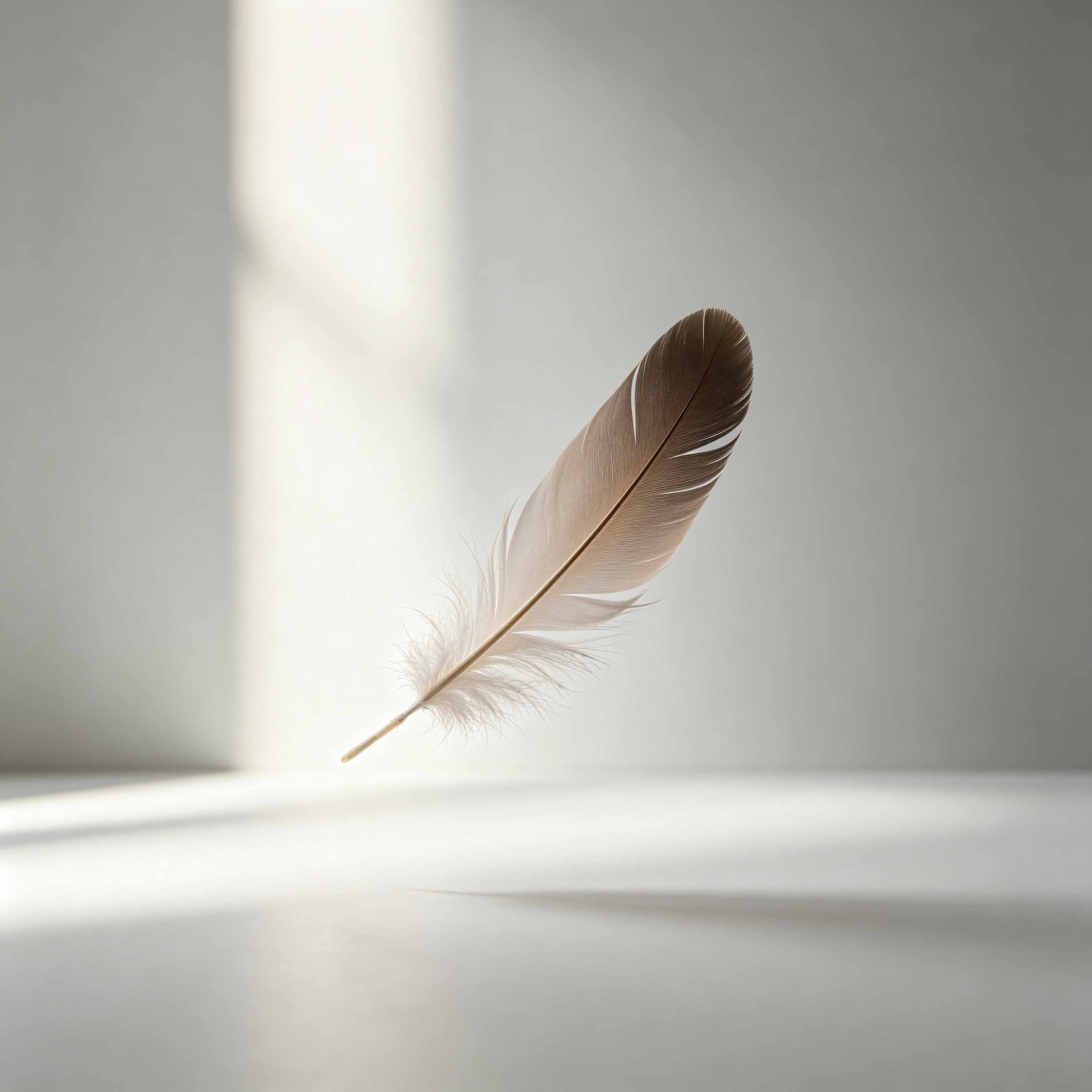 a single feather flo