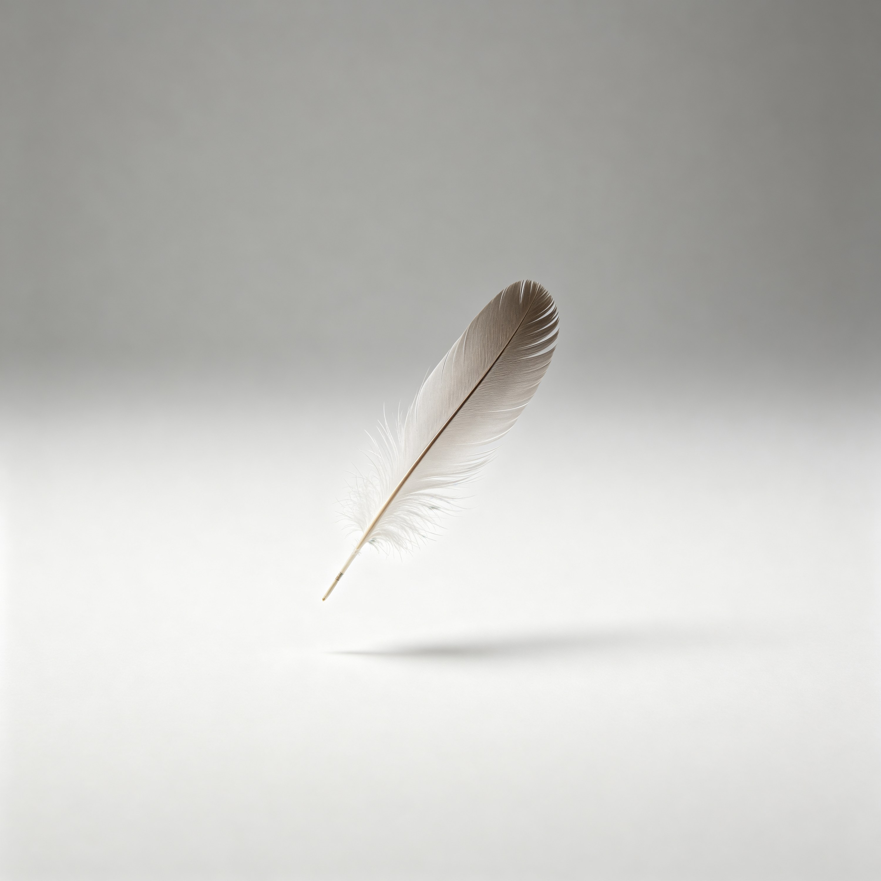 a single feather flo